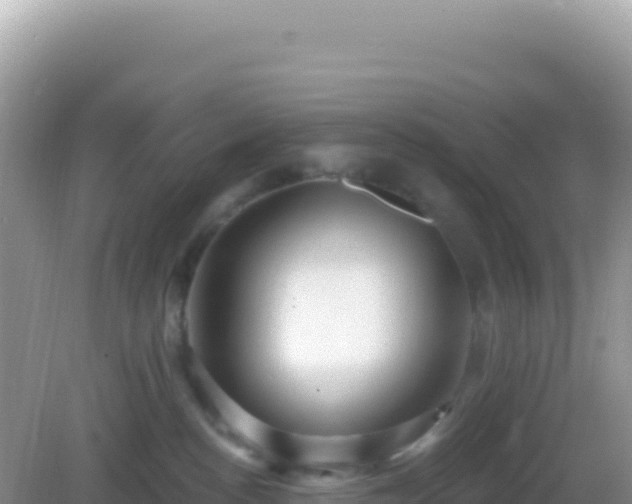 X0000082710188200702021429