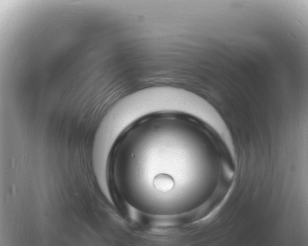 X0000082710190200702021429