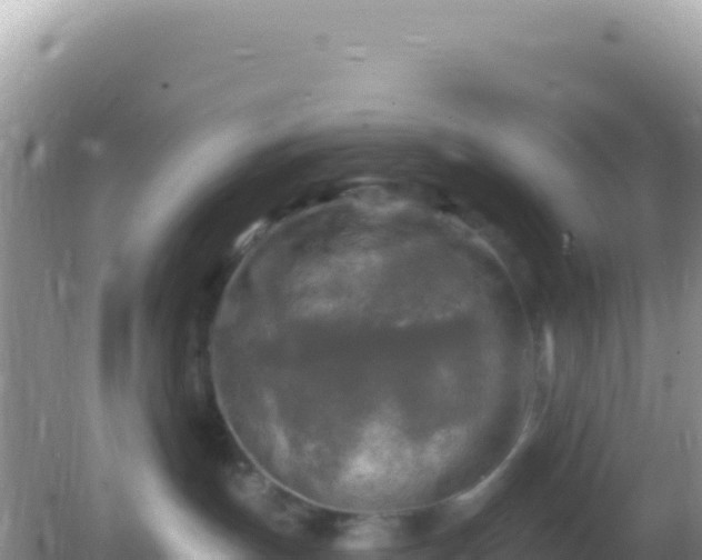 X0000082710191200702021429