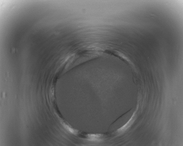 X0000082710192200702021429