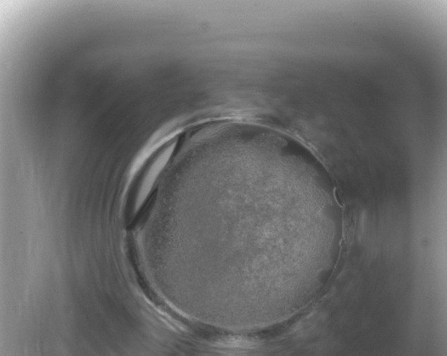 X0000082710198200702021428