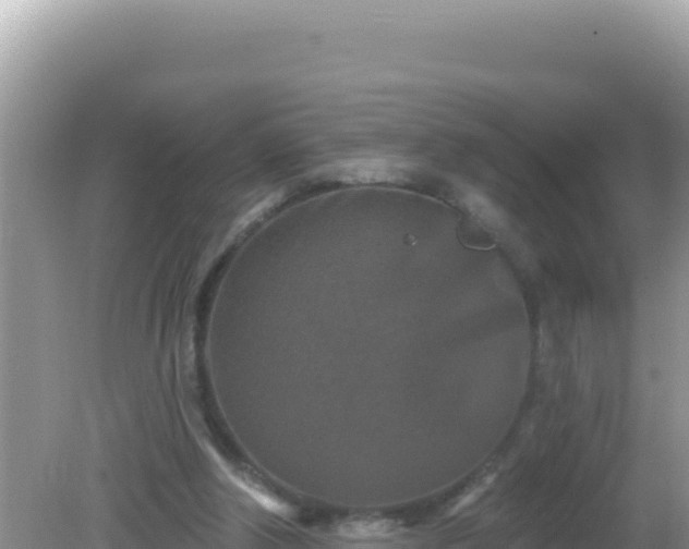 X0000082710202200702021428