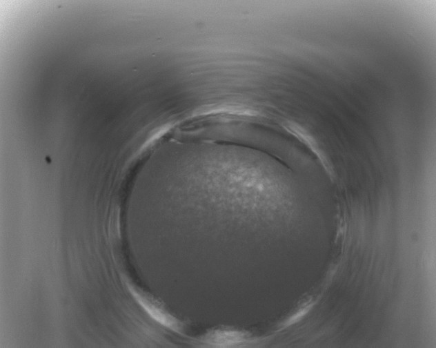 X0000082710205200702021428