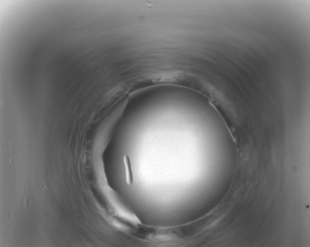 X0000082710209200702021428