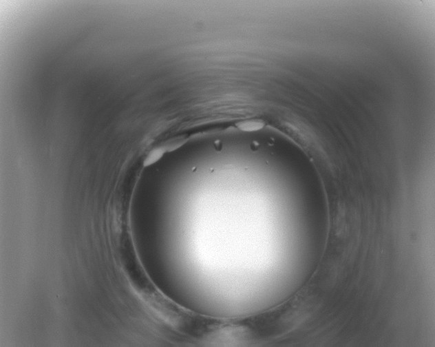 X0000082710210200702021428