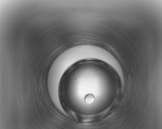 X0000082710313200702021426