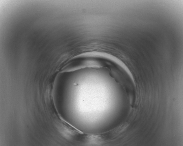 X0000082710333200702021425