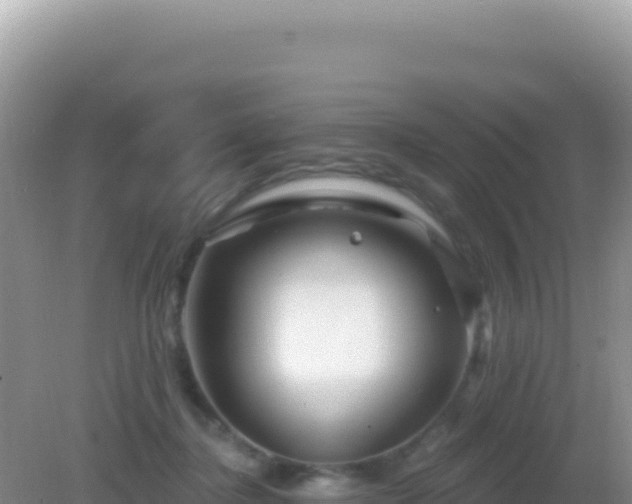 X0000082710364200702021425