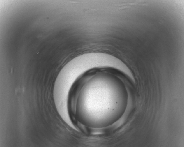 X0000082710384200702021425