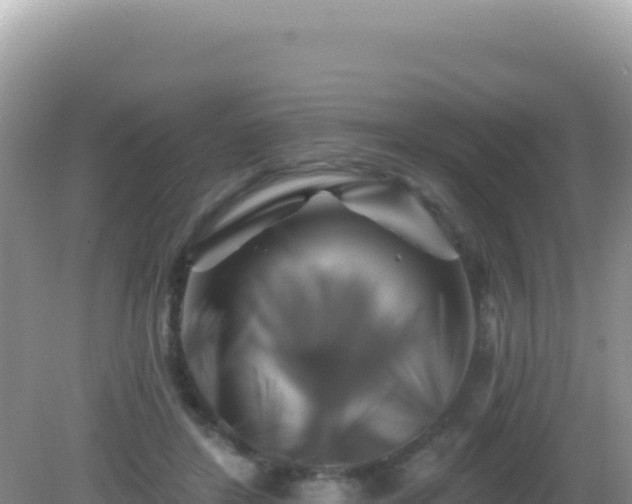 X0000082710404200702021424