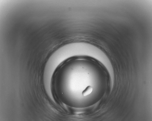X0000082710411200702021424