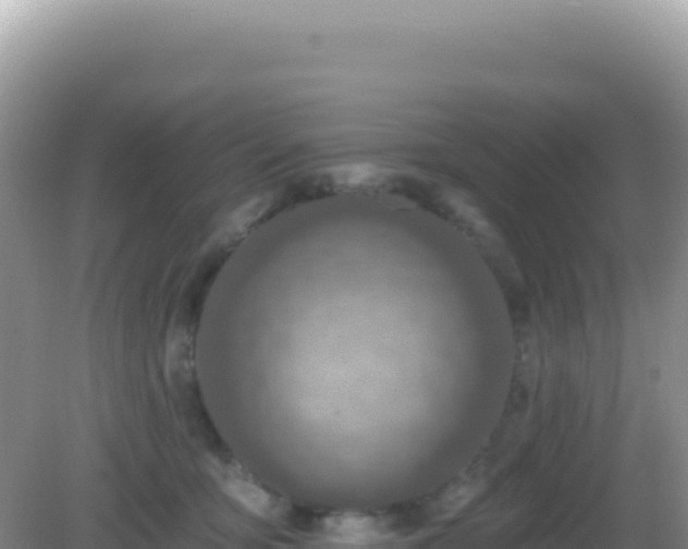 X0000082710419200702021424