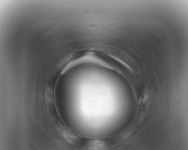 X0000082710421200702021424