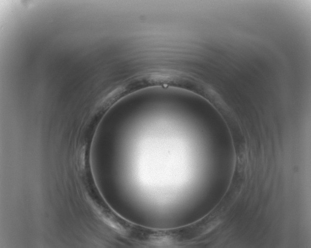 X0000082710454200702021423