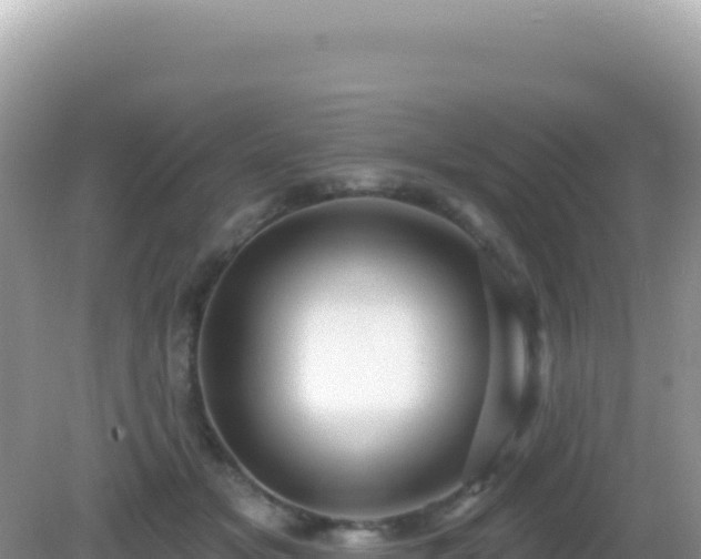 X0000082710509200702021422