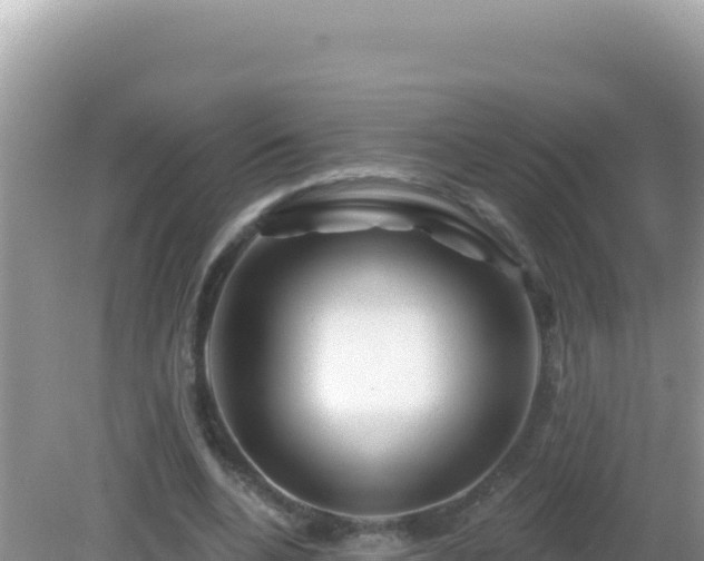X0000082710536200702021421