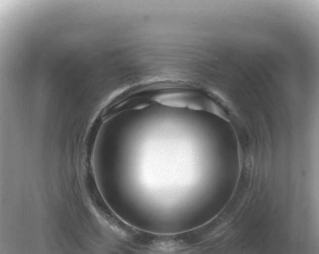 X0000082710540200702021422