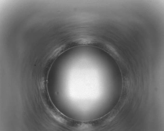 X0000082710549200702021422