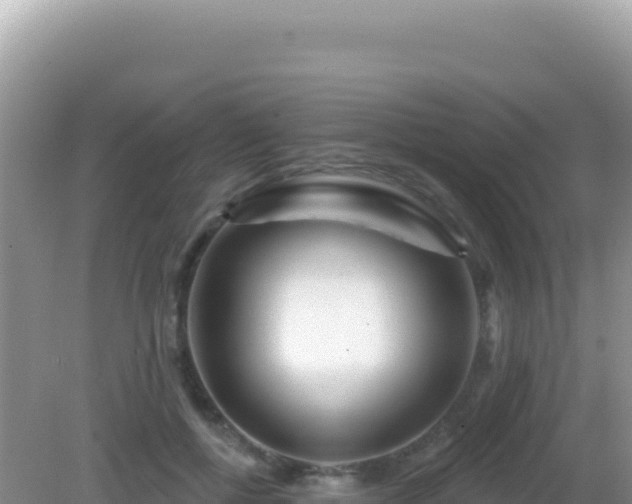X0000082710552200702021422