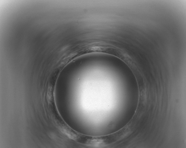 X0000082710554200702021422