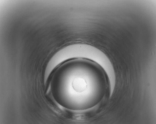 X0000082710564200702021422