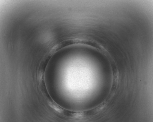 X0000082710574200702021422