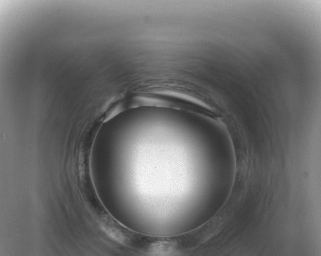 X0000082710700200702021419