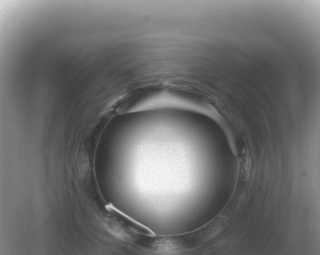 X0000082710704200702021419
