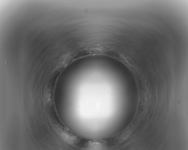 X0000082710706200702021419