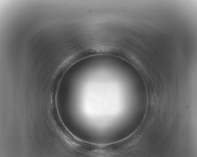 X0000082710733200702021418