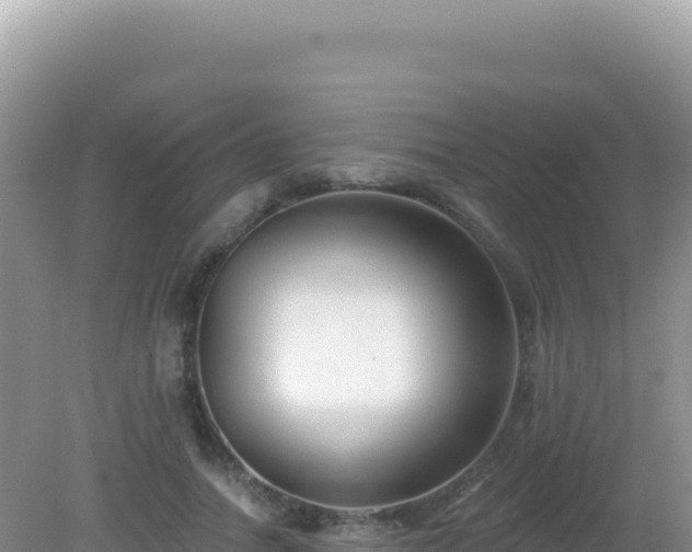 X0000082710738200702021418