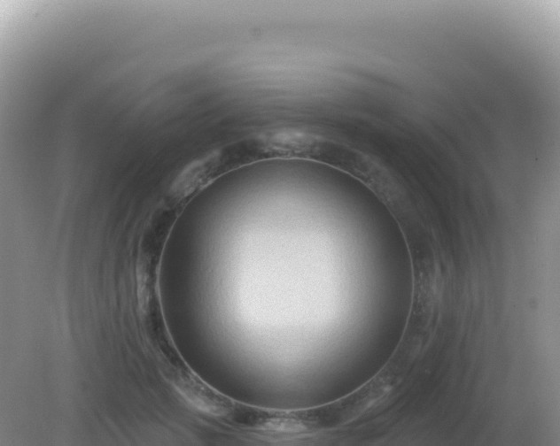 X0000082710749200702021419