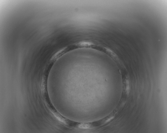 X0000082710762200702021419