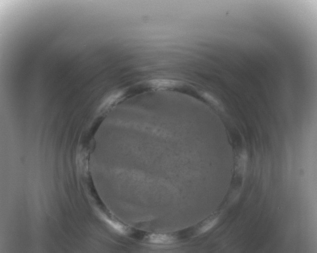 X0000082710766200702021419