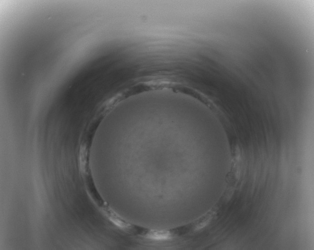 X0000082710767200702021419