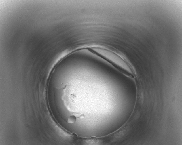 X0000082710805200702021418
