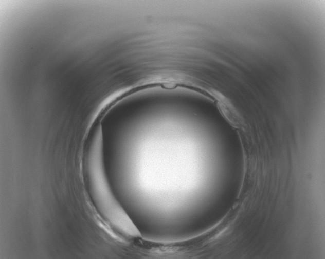 X0000082710846200702021417