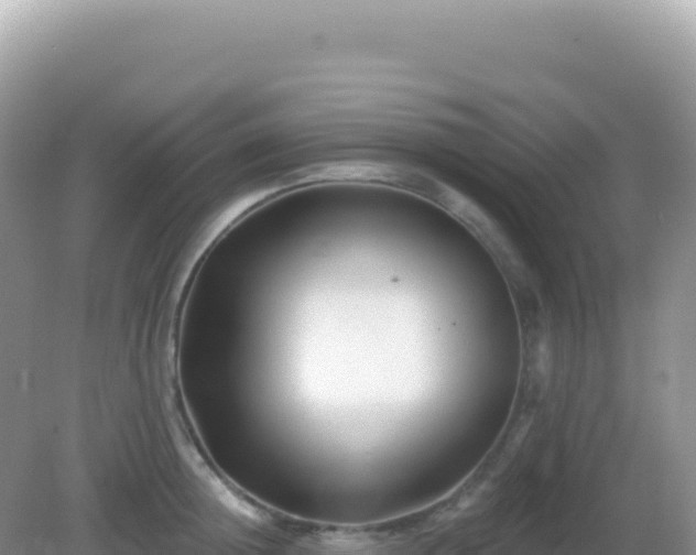 X0000082710852200702021417