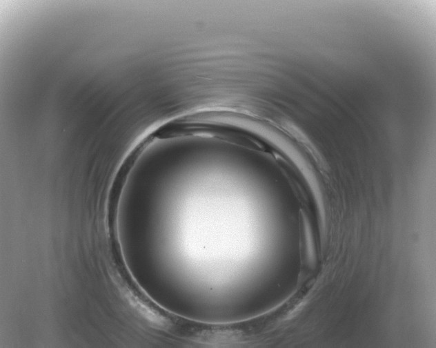 X0000082710884200702021416