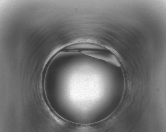 X0000082710894200702021416