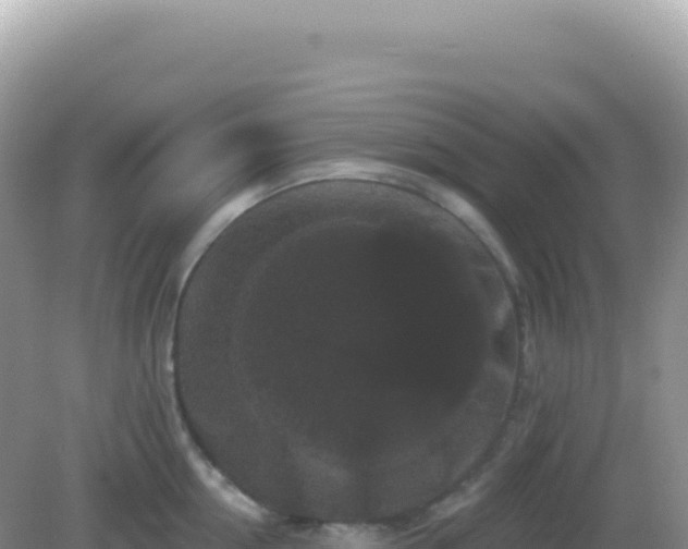 X0000082710954200702021416