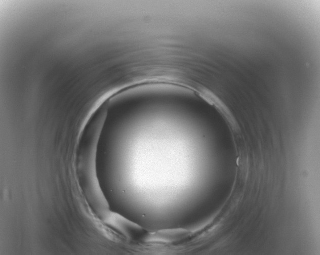 X0000082710956200702021416