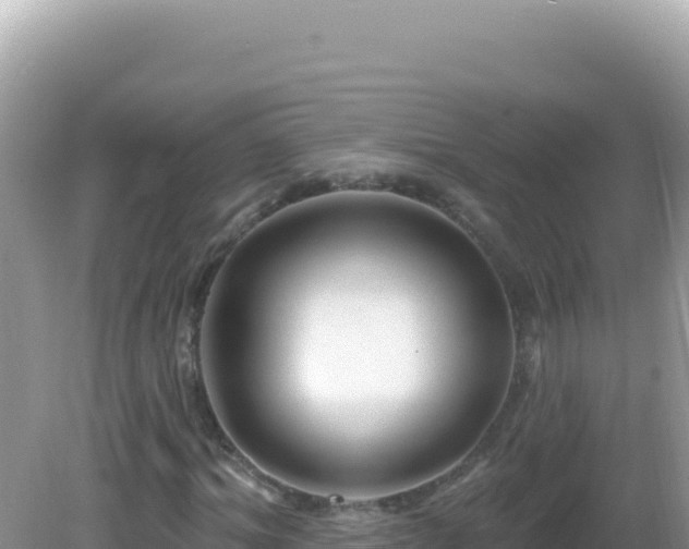 X0000082710964200702021415
