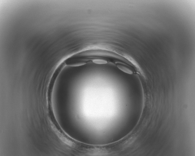 X0000082710980200702021415