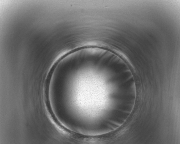 X0000082710991200702021414