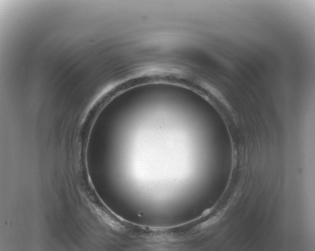 X0000082711021200702021413