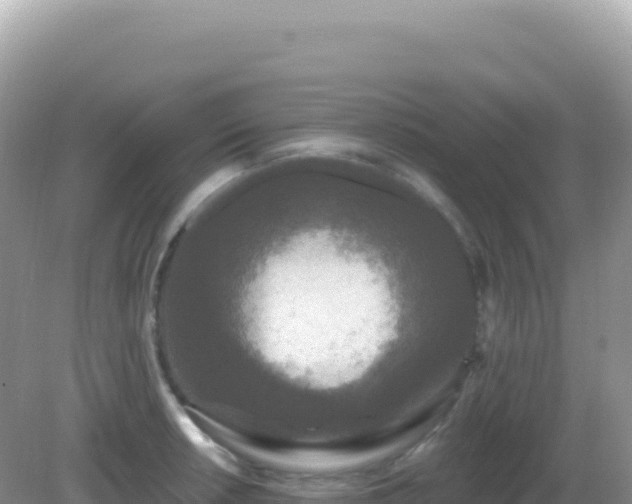 X0000082711042200702021414