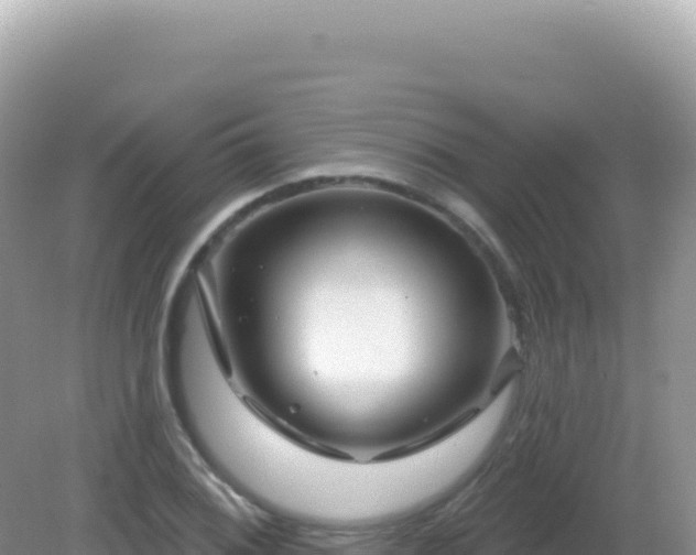 X0000082711076200702021413