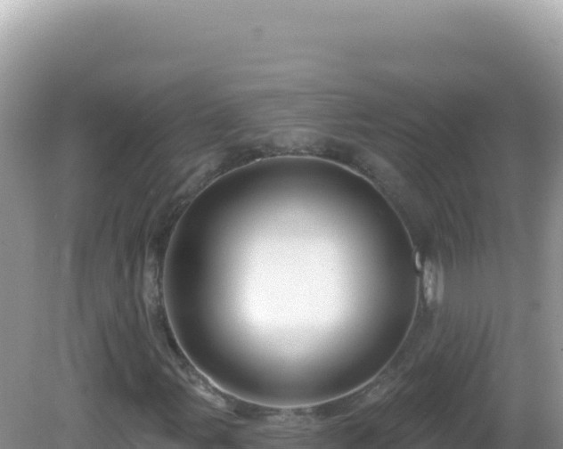 X0000082711107200702021412