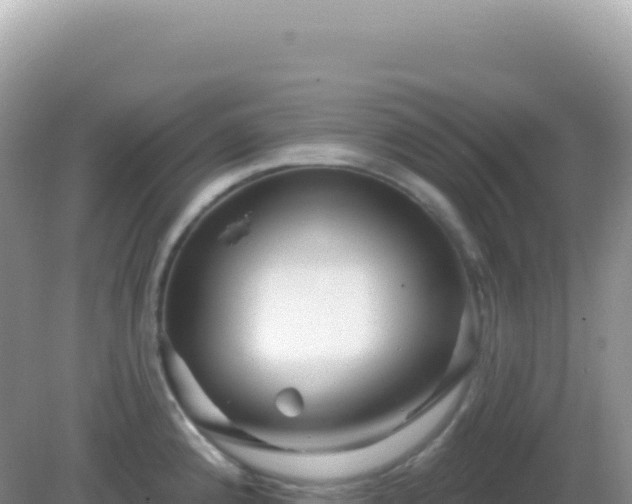 X0000082711192200702021411